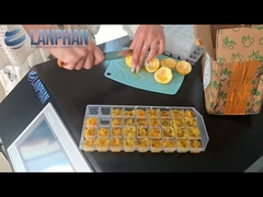 Huis Vacuum Freeze Dryer Fruit Lyophilizer Apparatuur