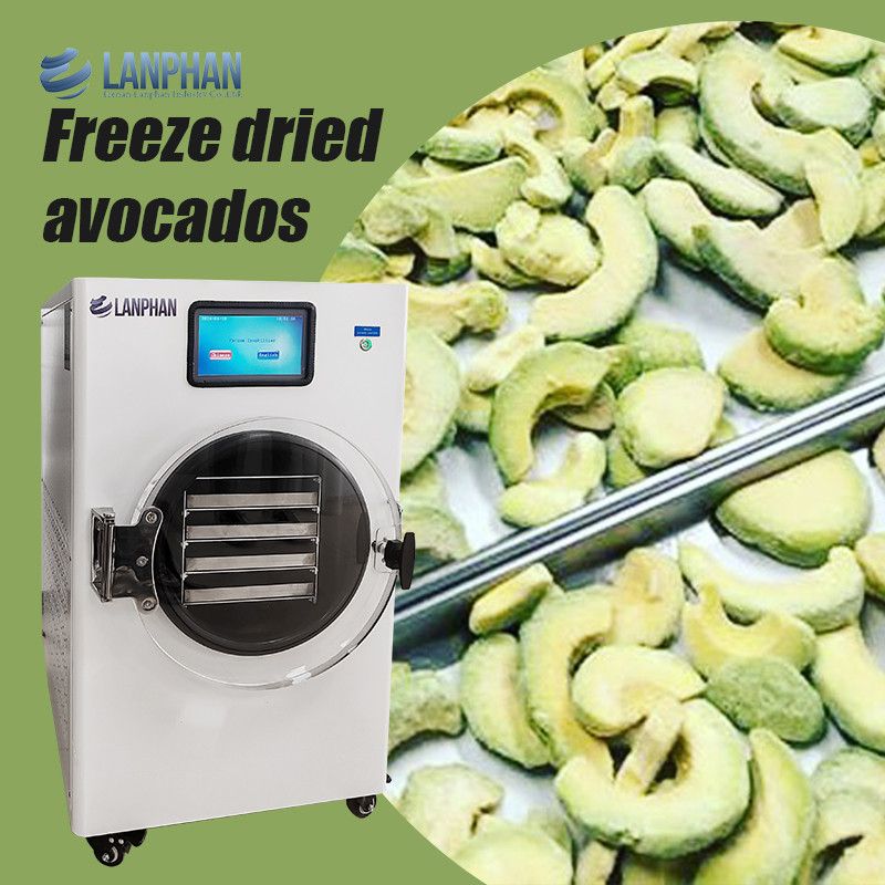 Avocado, vijg, perzik, watermeloen roestvrij staal Fruit dryer Machine Vacuum dryer voor voedsel