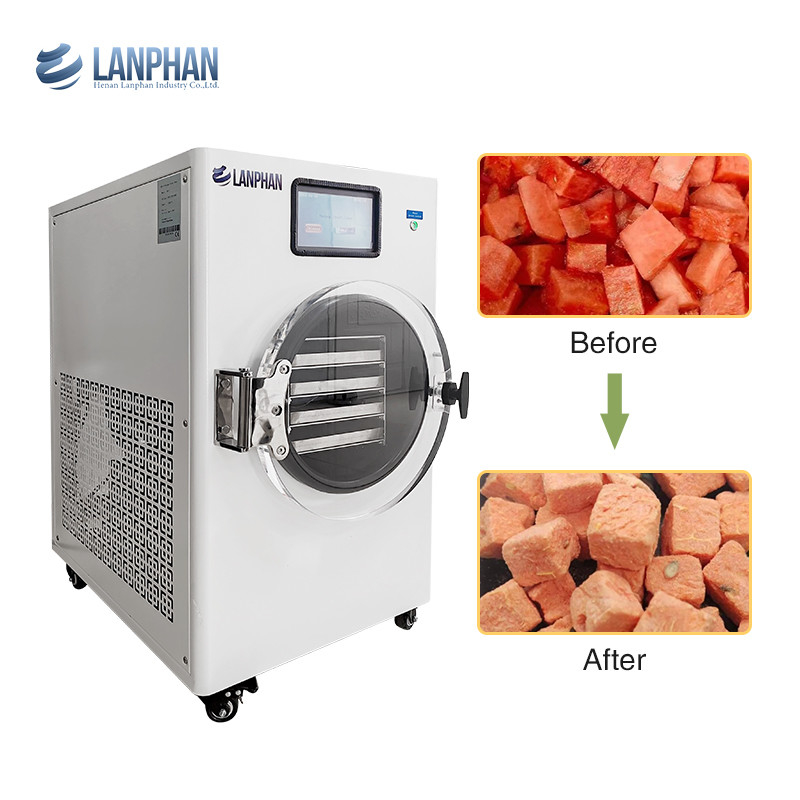 Avocado, vijg, perzik, watermeloen roestvrij staal Fruit dryer Machine Vacuum dryer voor voedsel