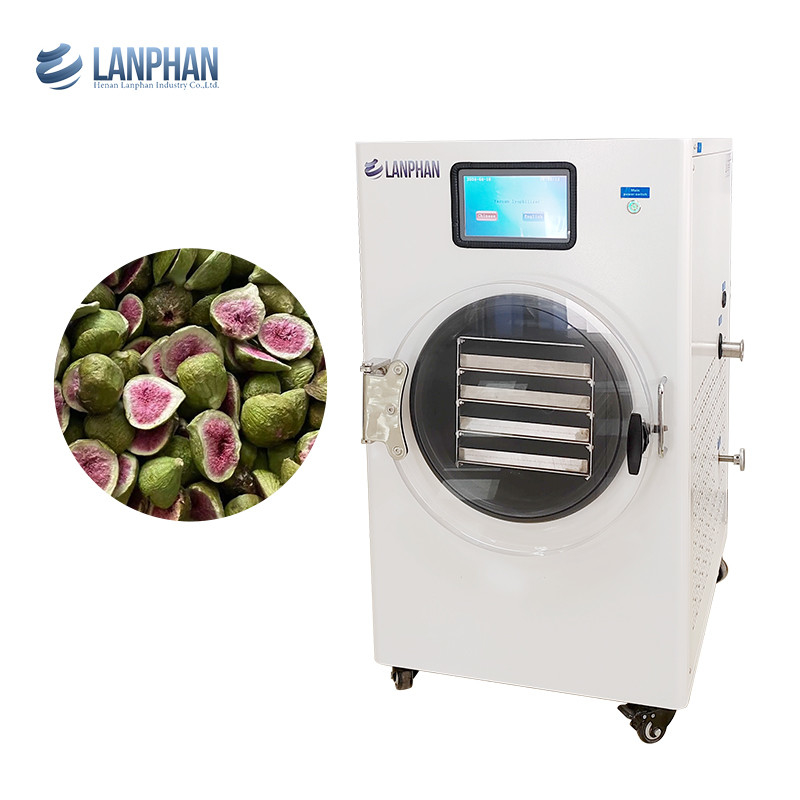 Avocado, vijg, perzik, watermeloen roestvrij staal Fruit dryer Machine Vacuum dryer voor voedsel