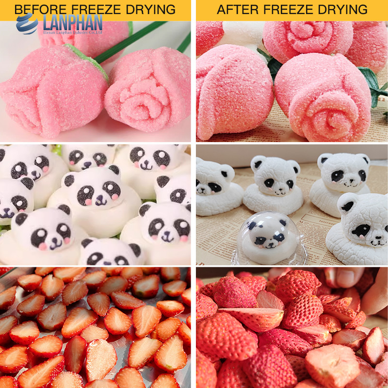 Lanphan 7-Tray Medium Home Freeze Dryer Zwart Wit Freeze Dry Home voor voedsel fruit