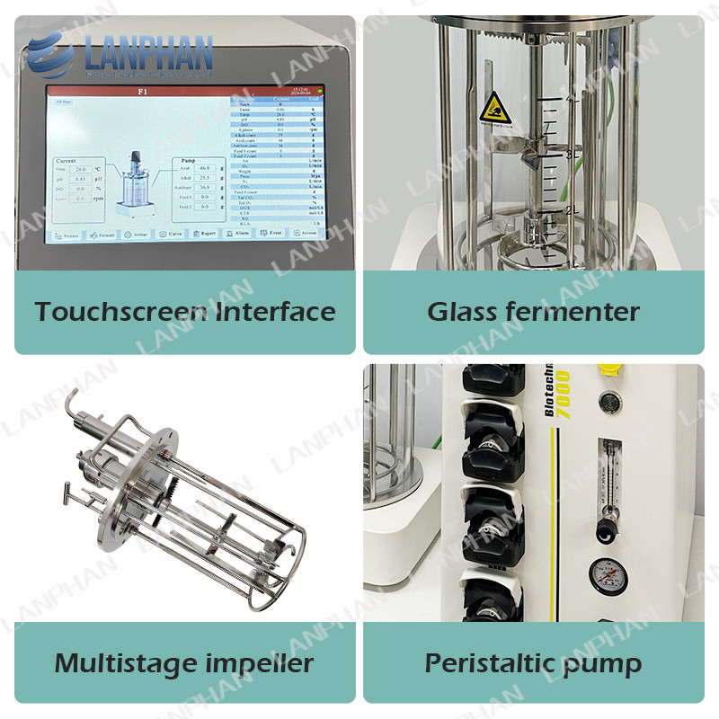 5l dierlijke celcultuur bioreacteur autoklaafbaar glas bioreacteur microbiële fermentator