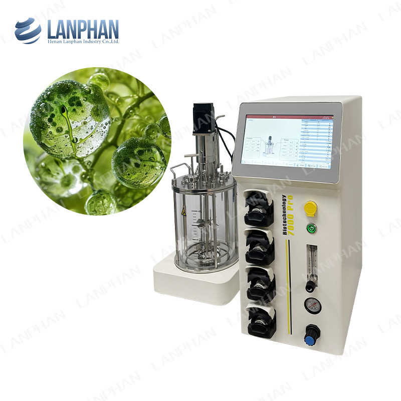 gist spirulina Lab glas bioreactor Fermentator bioreactor dierlijke celcultuur bioreactor 10L/5L