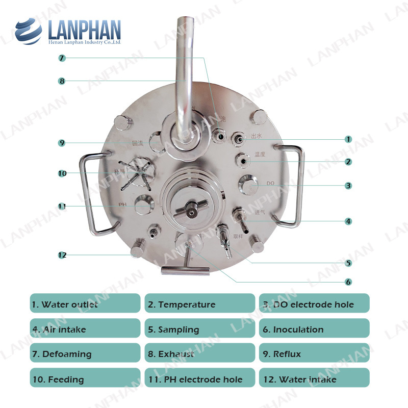 0.25L-15L Glas Bioreactor Plant Bioreactor Laboratorium Bioreactor Apparatuur Voor Celcultuur
