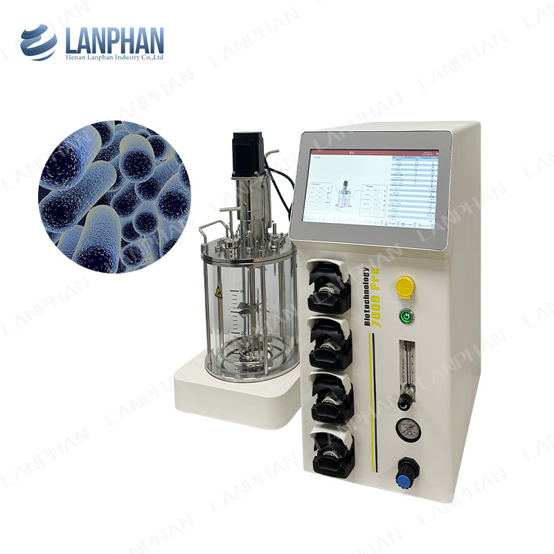 Laboratorium Glasvaccin Fermentatie Bioreactor gevoed batch Benchtop Gemengde tank Bioreactor