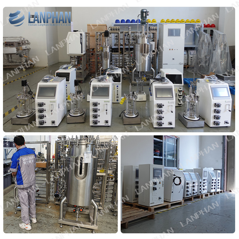 2l 5l 10l Automatische spirulina gistcultuur Glasfermentator Bioreactor voor celcultuur