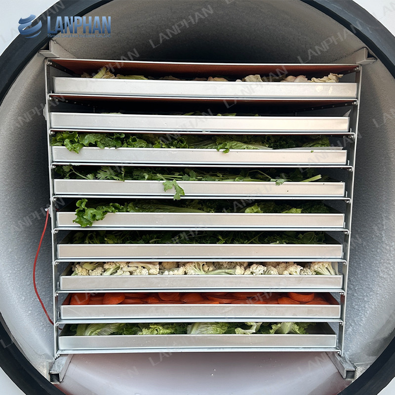 Lanphan Automatic Grote Vriesdroger 5m2 Vriesdroger Machine voor vlees Fruit Groenten