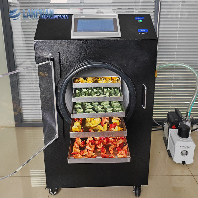 Kleine vriesdroger Lanphan Nieuwe upgrade 0,5m2 Zwarte vriesdroger met vacuümpomp