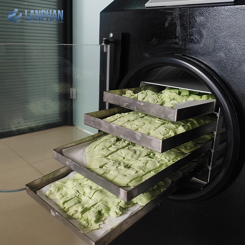 Fabrieksfabrikant 4-6Kg Kleine Lyophilizer Voedsel Vacuüm Freeze Dryer Machine Home Freeze Dryer