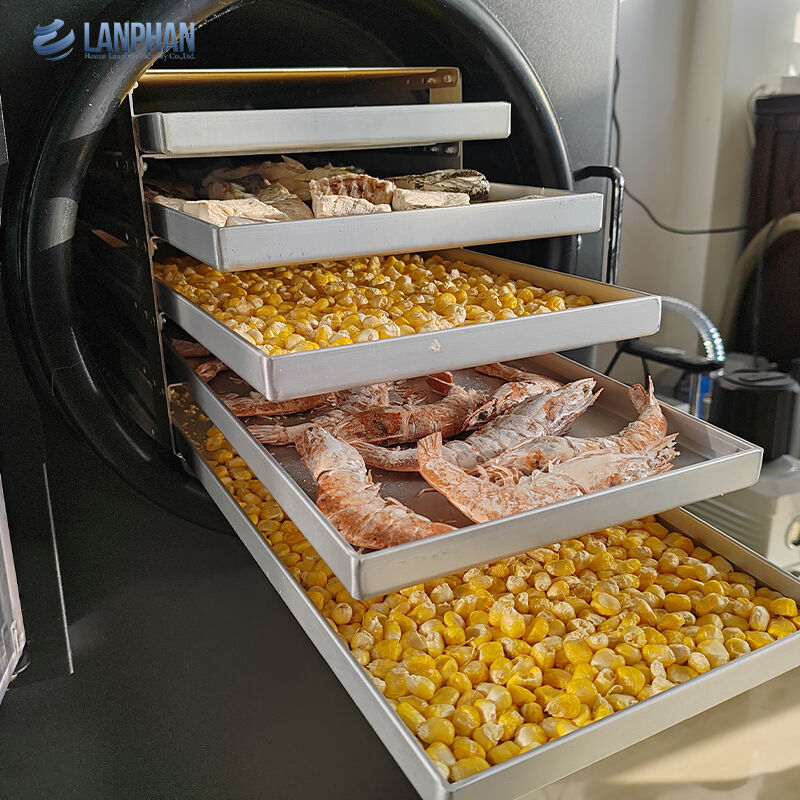 5-bak Kleine grootte roestvrijstalen vriesdroger met oliepomp voor snoep