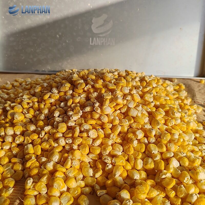 4-6 kg Automatische Kleine Voedsel Fruit Vlees Vacuüm Vriesdroogmachine Voor Thuisgebruik