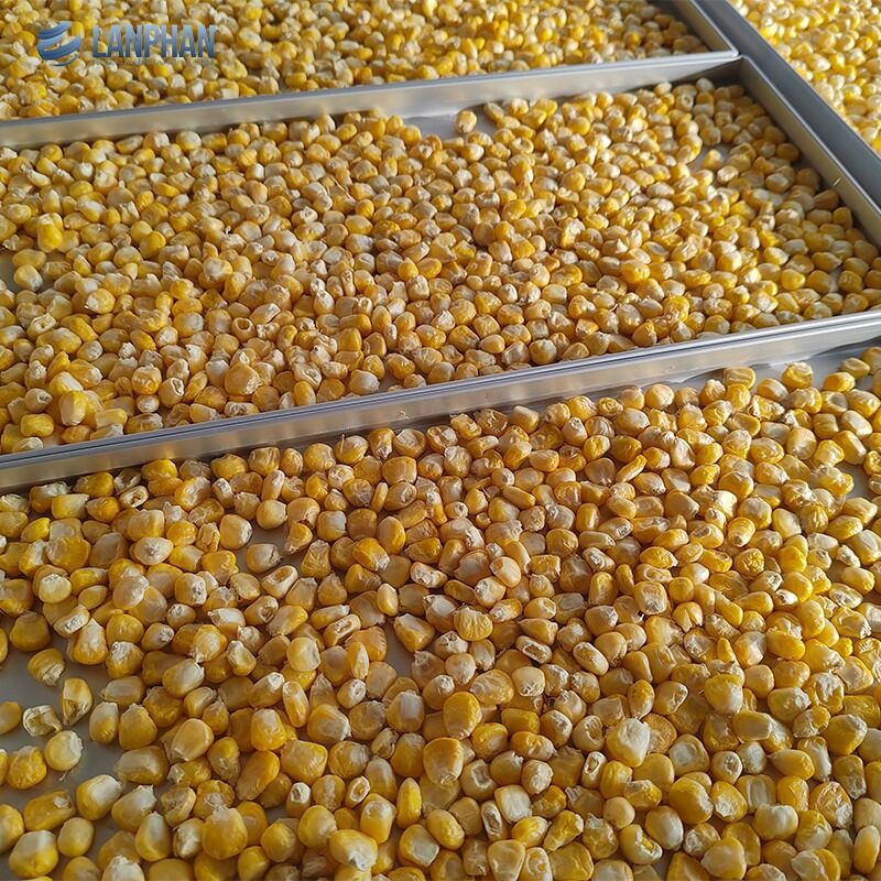 5-bak Kleine grootte roestvrijstalen vriesdroger met oliepomp voor snoep