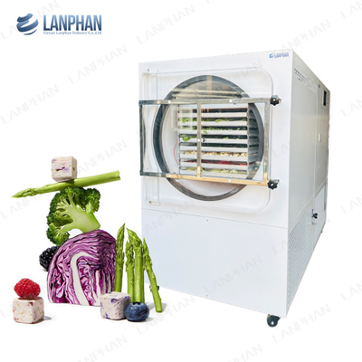 Lanphan Automatic Grote Vriesdroger 5m2 Vriesdroger Machine voor vlees Fruit Groenten