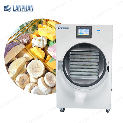 45 kg 40 kg Vriesdroger voor thuisgebruik Fruit Dog Treat Food Vegetable Fruit Vriesdroger