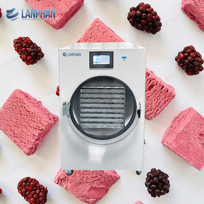3M2 Lanphan Candy Cake Vriesdroger Machine Fruit Groente Vriesdrogen Lypholizer Machine