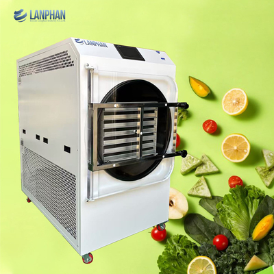 Multifunctioneel laboratorium commerciële groenten snack 60 kg vacuüm vriesdroger lyophiliserende machine