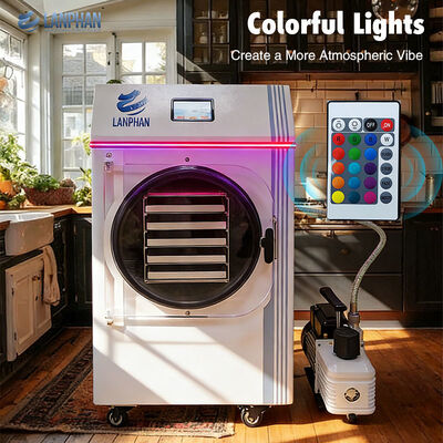 Huishoudelijk gebruik Bewaar fruit groenten vlees compacte voedselvriezer droger